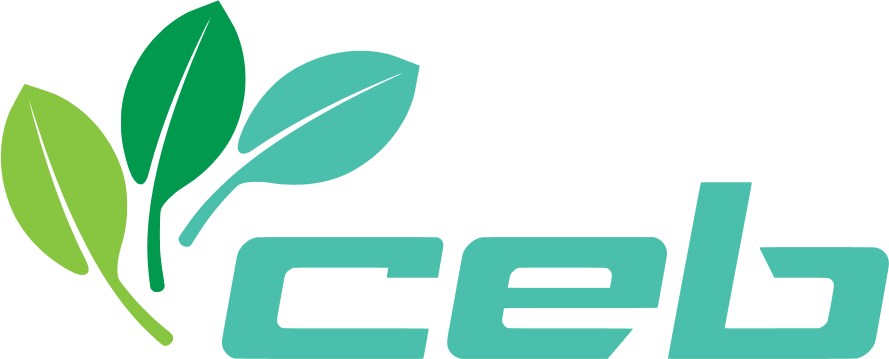 CEB Technology